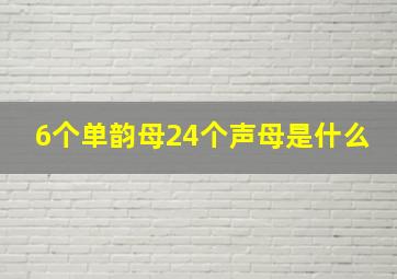 6个单韵母24个声母是什么