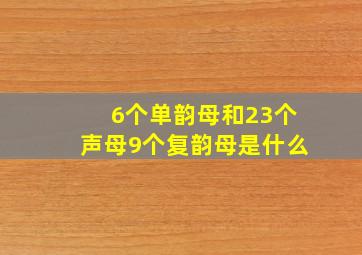 6个单韵母和23个声母9个复韵母是什么