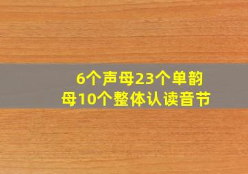 6个声母23个单韵母10个整体认读音节