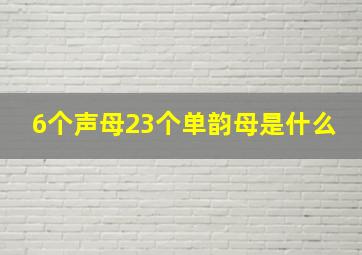 6个声母23个单韵母是什么