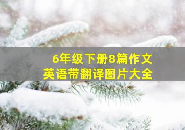 6年级下册8篇作文英语带翻译图片大全