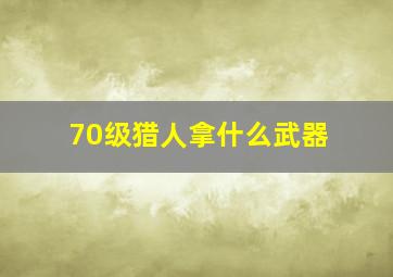 70级猎人拿什么武器