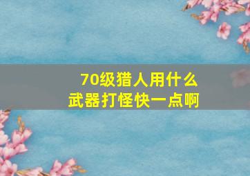 70级猎人用什么武器打怪快一点啊