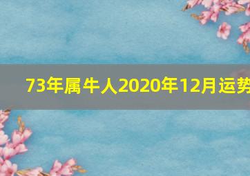 73年属牛人2020年12月运势