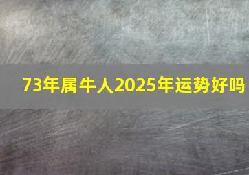 73年属牛人2025年运势好吗