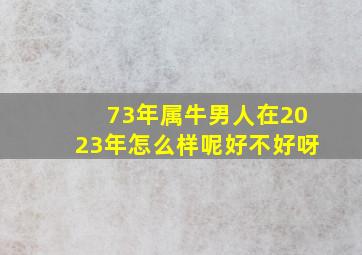 73年属牛男人在2023年怎么样呢好不好呀