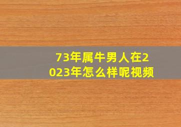 73年属牛男人在2023年怎么样呢视频