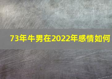 73年牛男在2022年感情如何