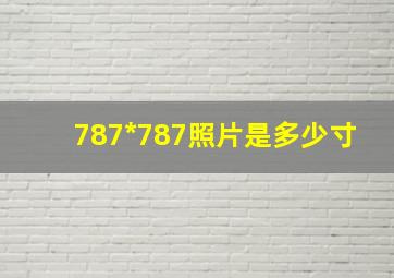 787*787照片是多少寸