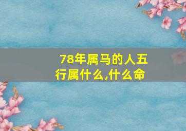 78年属马的人五行属什么,什么命