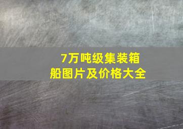 7万吨级集装箱船图片及价格大全