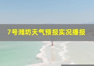 7号潍坊天气预报实况播报