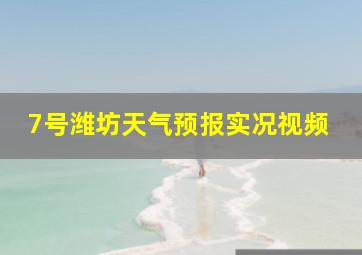 7号潍坊天气预报实况视频