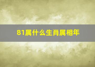 81属什么生肖属相年