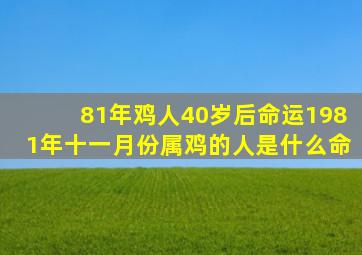 81年鸡人40岁后命运1981年十一月份属鸡的人是什么命