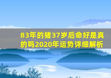 83年的猪37岁后命好是真的吗2020年运势详细解析