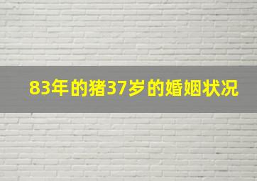 83年的猪37岁的婚姻状况