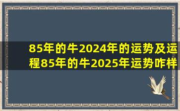 85年的牛2024年的运势及运程85年的牛2025年运势咋样