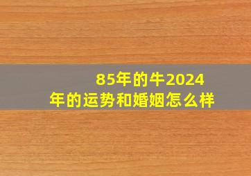 85年的牛2024年的运势和婚姻怎么样