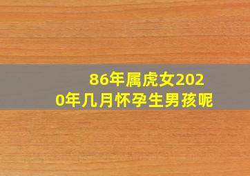 86年属虎女2020年几月怀孕生男孩呢