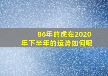 86年的虎在2020年下半年的运势如何呢