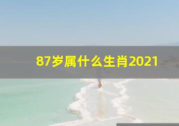 87岁属什么生肖2021