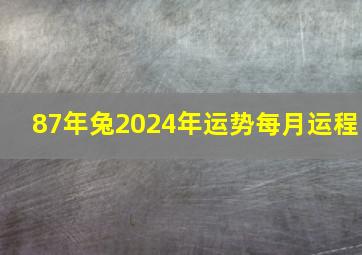 87年兔2024年运势每月运程