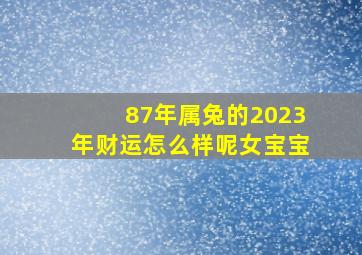 87年属兔的2023年财运怎么样呢女宝宝