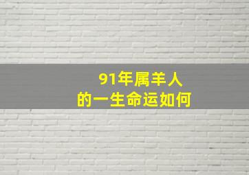 91年属羊人的一生命运如何