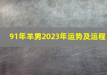 91年羊男2023年运势及运程