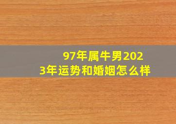 97年属牛男2023年运势和婚姻怎么样