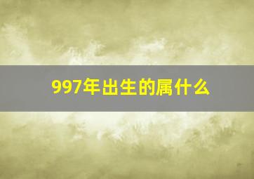 997年出生的属什么