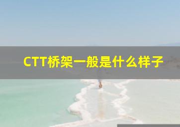 CTT桥架一般是什么样子