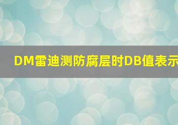 DM雷迪测防腐层时DB值表示