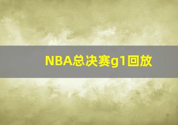 NBA总决赛g1回放