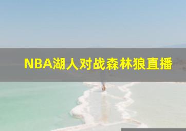 NBA湖人对战森林狼直播