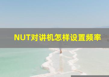 NUT对讲机怎样设置频率