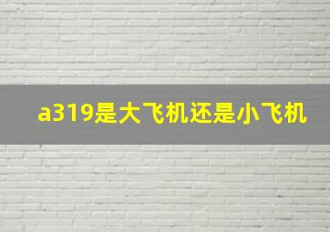 a319是大飞机还是小飞机