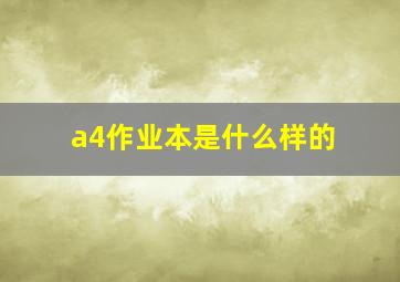 a4作业本是什么样的