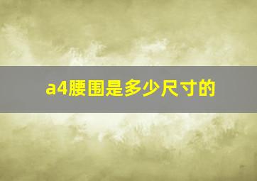 a4腰围是多少尺寸的