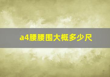 a4腰腰围大概多少尺