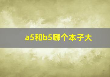 a5和b5哪个本子大