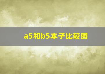 a5和b5本子比较图