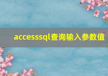 accesssql查询输入参数值