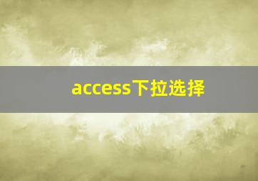 access下拉选择