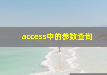 access中的参数查询