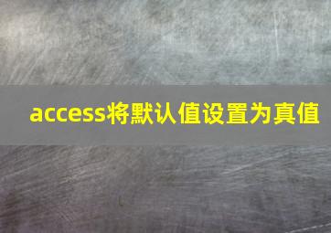 access将默认值设置为真值