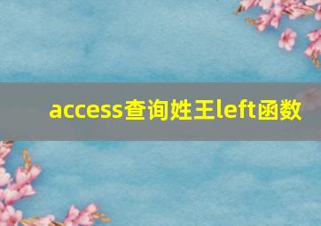 access查询姓王left函数