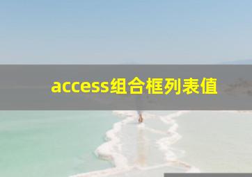 access组合框列表值