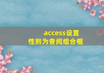 access设置性别为查阅组合框